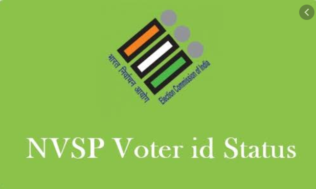 Voter ID status